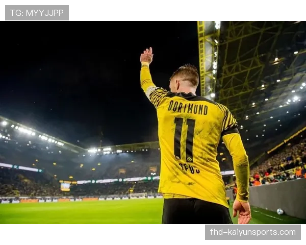 特写：老将罗伊斯在威斯特法伦的最后一季